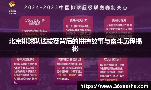 北京排球队选拔赛背后的拼搏故事与奋斗历程揭秘