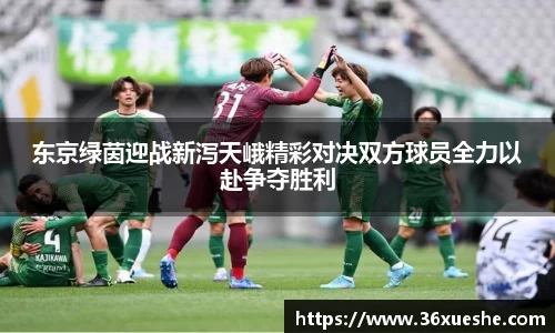 yy易游体育